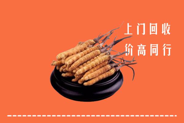 高价求购：昆明市回收散虫草