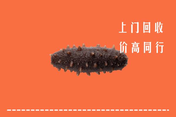 高价求购：昆明市回收海参