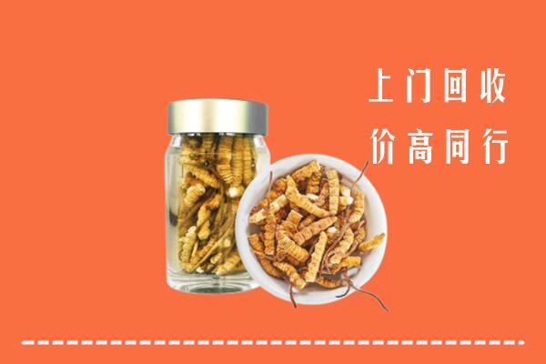 昆明市回收冬虫夏草